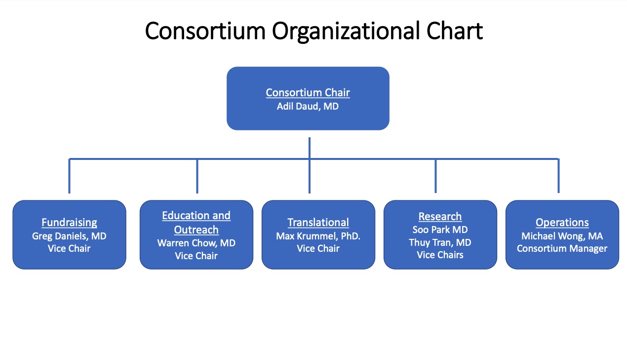 Organizational Chart for the UC Melanoma Skin Cancer Consortium